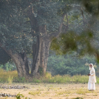Wildlife în India