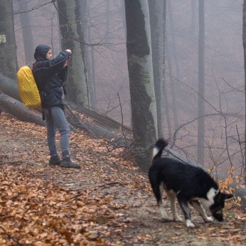 Making of