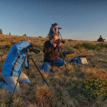 Making of