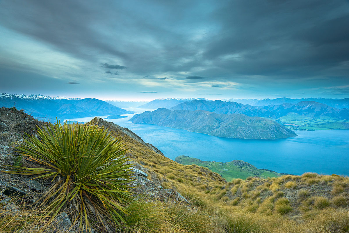 Aventură în Noua Zeelandă